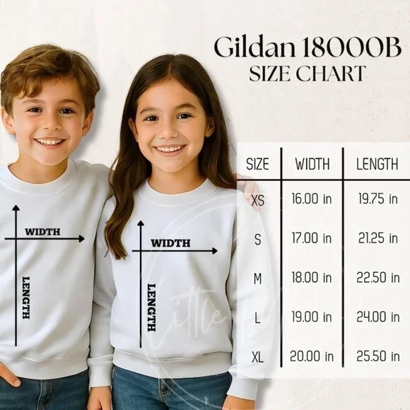 Vintage Denver broncos Football Sweatshirt, Denver Game Day Hoodie shirt PM - Picture 3 of 3